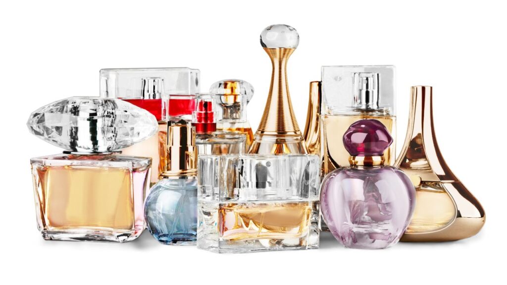 Criterios para Escolher o Melhor Perfume Feminino blog site melhor perfume feminino com br