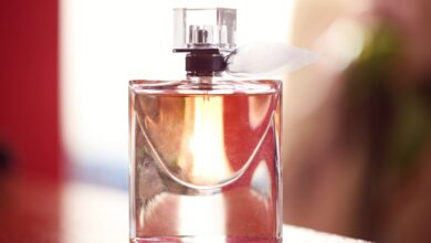 Perfume Frances Feminino Mais Vendido no Mundo